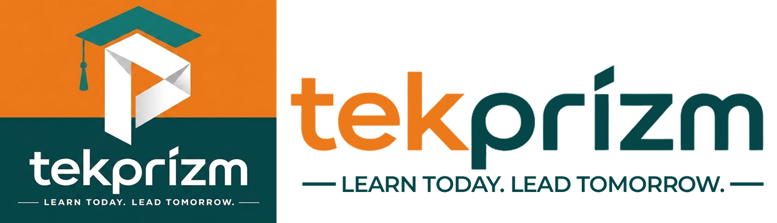 Tekprizm Logo